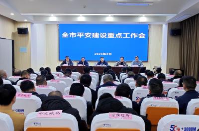 全市平安建设重点工作会召开