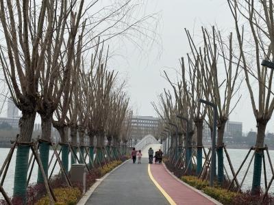 赴一场湖畔春约 尹家湖西南岸慢享好时光