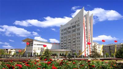 大冶市融媒体中心领导简介