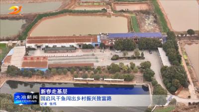 国启风干鱼闯出乡村振兴致富路