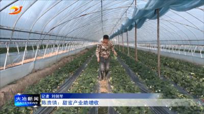 陈贵镇：甜蜜产业助增收