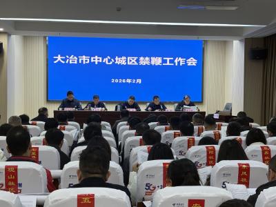 2026年全市中心城区禁鞭工作会议召开