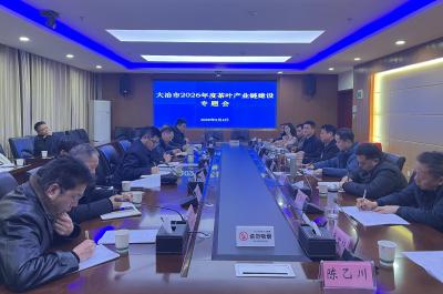 我市召开2026年度茶产业链建设专题会 提质增效强链条 融合升级绘蓝图