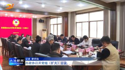 市政协召开党组（扩大）会议