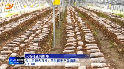 金山店镇火石村：羊肚菌丰产助增收 