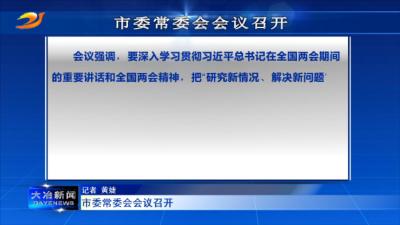市委常委会会议召开