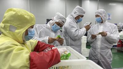 针对央视“3·15”曝光 我市速查食品企业漂白鸡爪问题