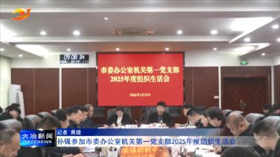 孙辄参加市委办公室机关第一党支部2025年度组织生活会