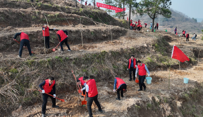 孙辄潘小进参加2026年春季义务植树活动