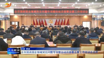 全市国资国企领域突出问题专项整治动员部署会暨工作培训会召开