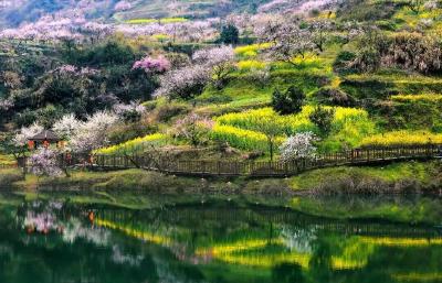 十里桃花入画来 不负春光不负卿 沼山古村桃乡景区上榜全省十大春季赏花目的地