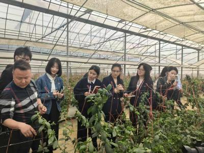 党课搬进田间地头