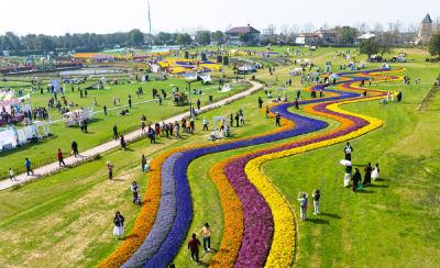 春日经济新图景｜踏春赏花，从“看风景”到“深体验”