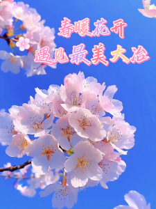 接下来的大冶将会是这般花团锦簇——春暖花开，遇见最美大冶