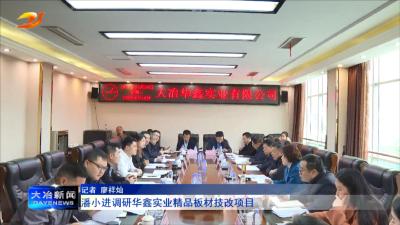 潘小进调研华鑫实业精品板材技改项目