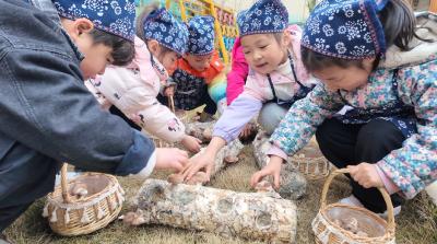 一棒香菇一段成长 萌娃变身小小菇农