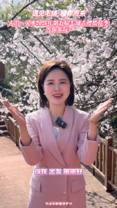 “遇见毛铺·樱你而来”——大冶·灵乡2026年第五届毛铺古樱赏花季等你来玩~