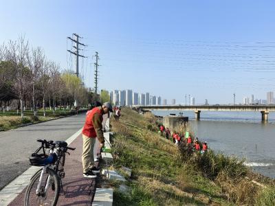 金牛镇干群合力植新绿