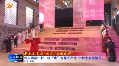 保安镇沼山村：以“桃”为媒兴产业 古村文旅促振兴