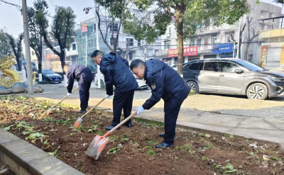 罗家桥街道：集中清理“私家菜园”