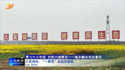 大箕铺镇：“一棵菜”串起共富链