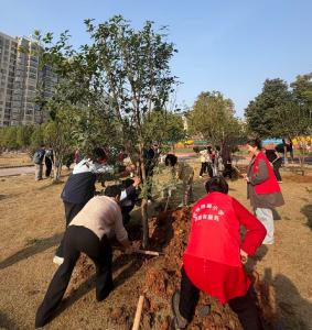 还地桥镇小学:师生携手为校园添绿