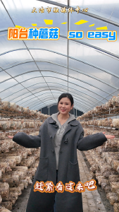 阳台种蘑菇 so easy（记者  王悠）