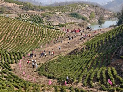 赴春日“植”约 绘青春绿卷