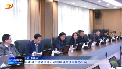 
我市召开跨境电商产业园项目建设现场办公会