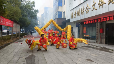 陈贵镇：文艺表演韵味足，元宵猜谜趣味多