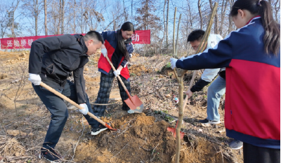 还地桥镇开展2026年义务植树活动