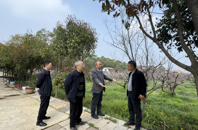 专家“把脉”桃园 开出“升级良方”