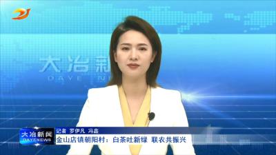 金山店镇朝阳村：白茶吐新绿 联农共振兴