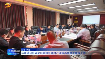 孙辄调研低碳采冶和绿色建材产业链高质量发展等工作