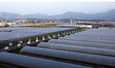 我市一人一集体拟获省五一劳动表彰