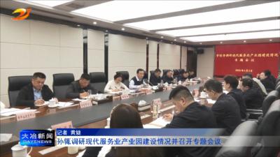 孙辄调研现代服务业产业园建设情况并召开专题会议