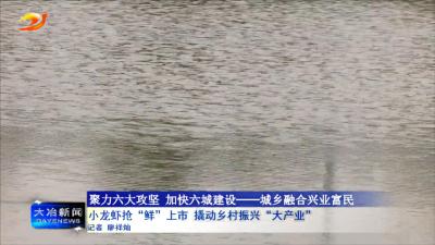 小龙虾抢“鲜”上市 撬动乡村振兴“大产业” 