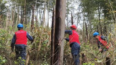 清障除患保畅通 筑牢电网安全线