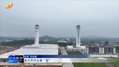 春天带你去看“雪”