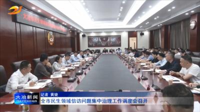全市民生领域信访问题集中治理工作调度会召开