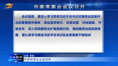市委常委会会议召开