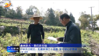 护林员汪昭文：三十余载守山林 坚守初心护青绿