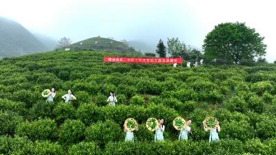 茶香漫殷祖 古韵醉春风