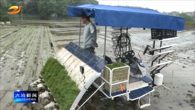 智慧农机驰骋沃野 赋能春耕提质增效