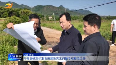 孙辄调研高标准农田建设突出问题专项整治工作