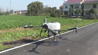 5分钟20亩 湖北大冶：无人机飞防助力油菜丰
