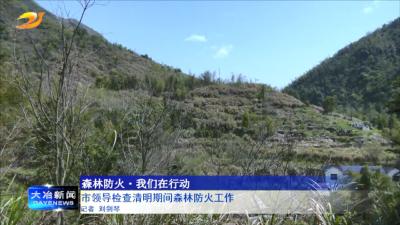 市领导检查清明期间森林防火工作 