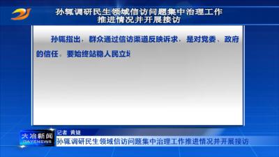 孙辄调研民生领域信访问题集中治理工作推进情况并开展接访