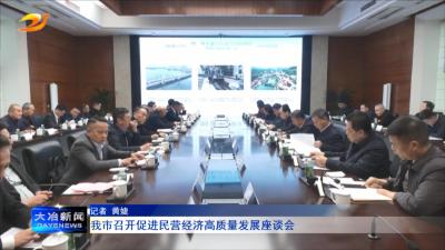 我市召开促进民营经济高质量发展座谈会