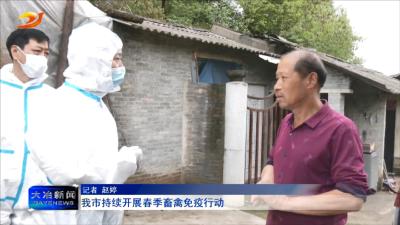 我市持续开展春季畜禽免疫行动